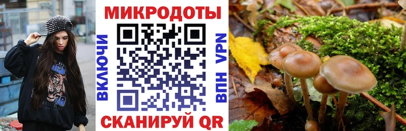 Купить закладки  Чехов  Псилоцибиновые грибы мухоморы 