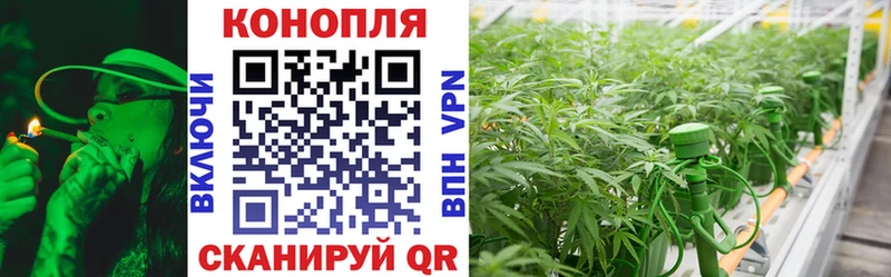 Бошки Шишки SATIVA & INDICA Чехов